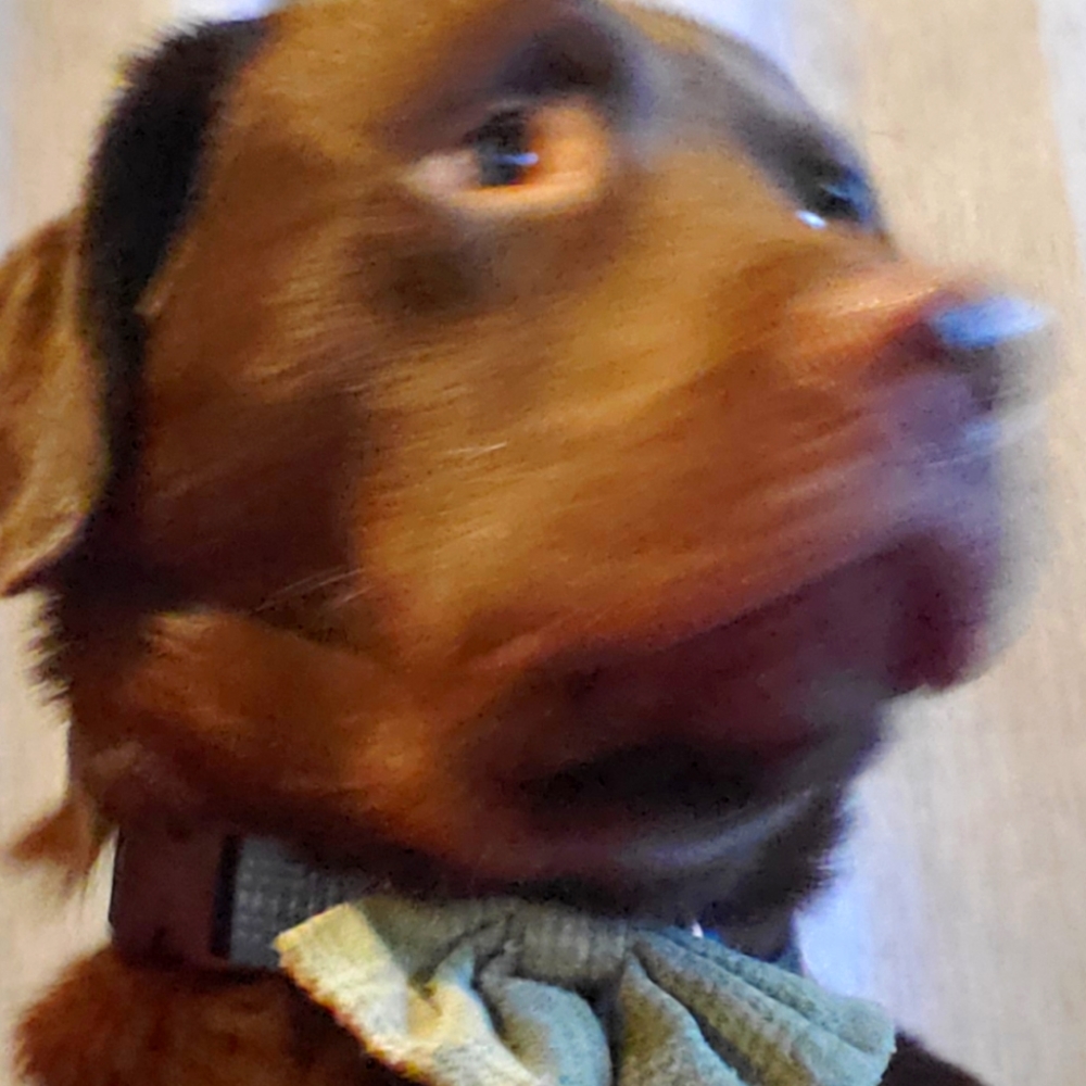 Meet your Posher, Eva